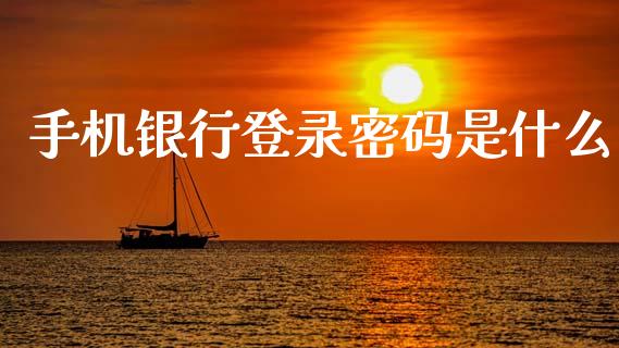 手机银行登录密码是什么_https://wap.sdxiaoxijinshu.com_金融_第1张