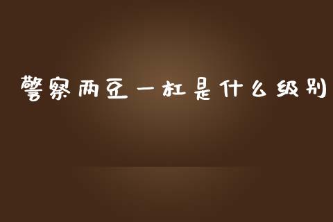 警察两豆一杠是什么级别_https://wap.sdxiaoxijinshu.com_期货_第1张