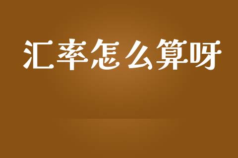 汇率怎么算呀_https://wap.sdxiaoxijinshu.com_金融_第1张