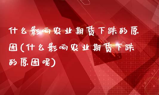 什么影响农业期货下跌的原因(什么影响农业期货下跌的原因呢)_https://wap.sdxiaoxijinshu.com_财经_第1张