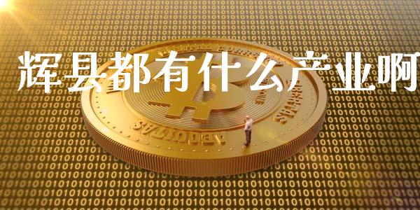 辉县都有什么产业啊_https://wap.sdxiaoxijinshu.com_期货_第1张