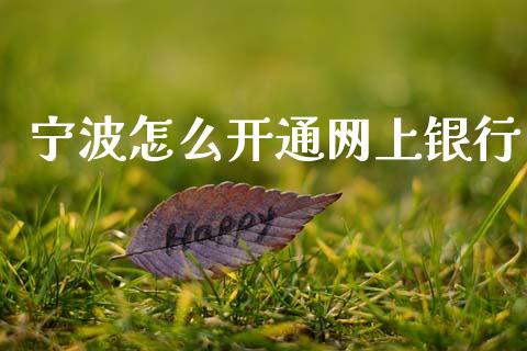 宁波怎么开通网上银行_https://wap.sdxiaoxijinshu.com_金融_第1张
