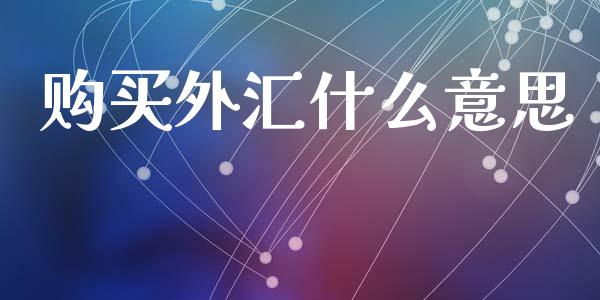 购买外汇什么意思_https://wap.sdxiaoxijinshu.com_财经_第1张