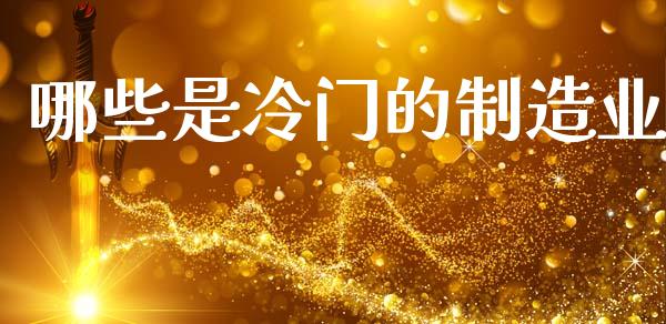 哪些是冷门的制造业_https://wap.sdxiaoxijinshu.com_理财_第1张