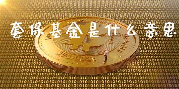 套保基金是什么意思_https://wap.sdxiaoxijinshu.com_金融_第1张