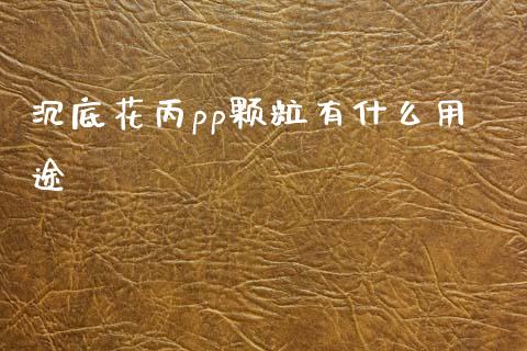 沉底花丙pp颗粒有什么用途_https://wap.sdxiaoxijinshu.com_理财_第1张