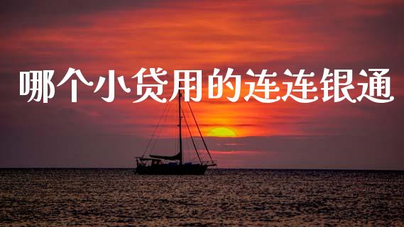 哪个小贷用的连连银通_https://wap.sdxiaoxijinshu.com_理财_第1张