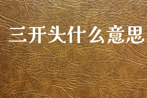 三开头什么意思_https://wap.sdxiaoxijinshu.com_期货_第1张