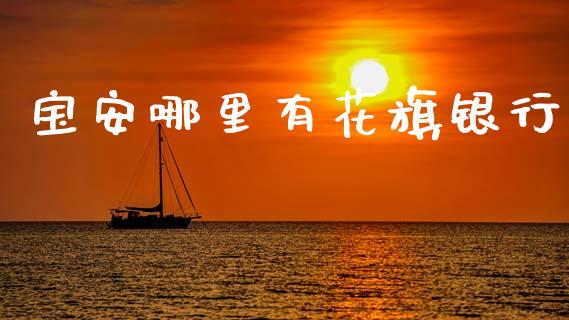 宝安哪里有花旗银行_https://wap.sdxiaoxijinshu.com_理财_第1张