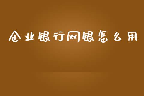 企业银行网银怎么用_https://wap.sdxiaoxijinshu.com_金融_第1张