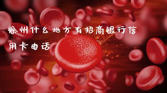 徐州什么地方有招商银行信用卡电话_https://wap.sdxiaoxijinshu.com_金融_第1张