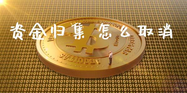 资金归集 怎么取消_https://wap.sdxiaoxijinshu.com_金融_第1张