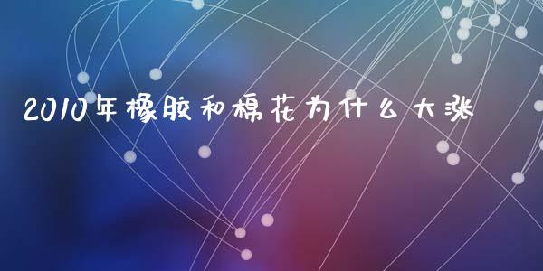 2010年橡胶和棉花为什么大涨_https://wap.sdxiaoxijinshu.com_期货_第1张