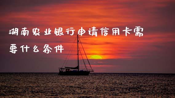 湖南农业银行申请信用卡需要什么条件_https://wap.sdxiaoxijinshu.com_金融_第1张
