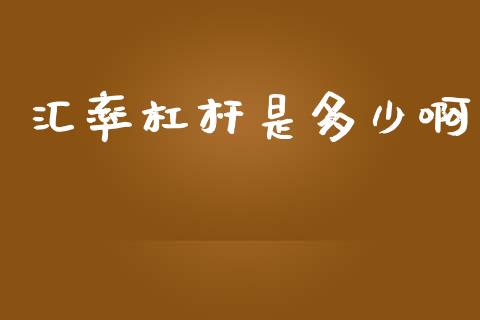 汇率杠杆是多少啊_https://wap.sdxiaoxijinshu.com_财经_第1张