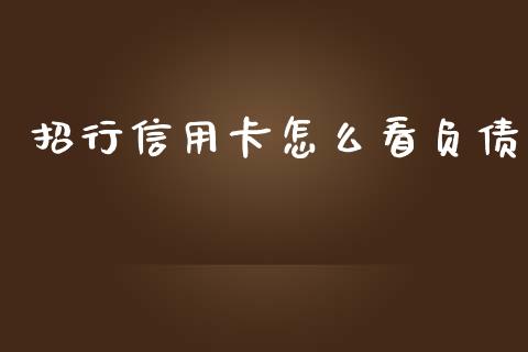招行信用卡怎么看负债_https://wap.sdxiaoxijinshu.com_金融_第1张