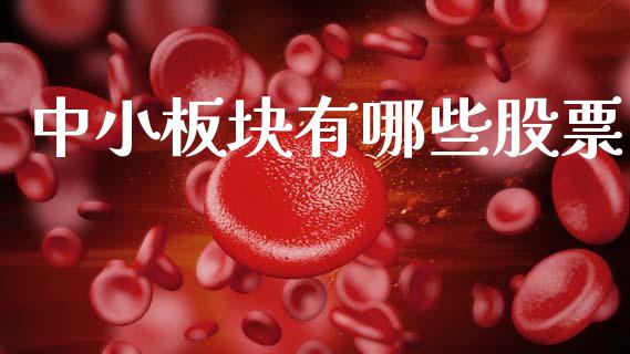中小板块有哪些股票_https://wap.sdxiaoxijinshu.com_理财_第1张