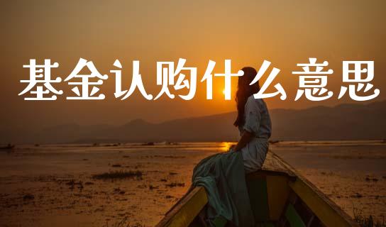 基金认购什么意思_https://wap.sdxiaoxijinshu.com_期货_第1张