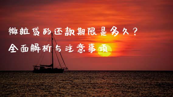 微粒贷的还款期限是多久？全面解析与注意事项_https://wap.sdxiaoxijinshu.com_理财_第1张