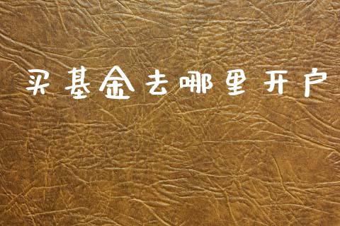 买基金去哪里开户_https://wap.sdxiaoxijinshu.com_理财_第1张