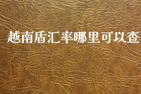 越南盾汇率哪里可以查_https://wap.sdxiaoxijinshu.com_财经_第1张