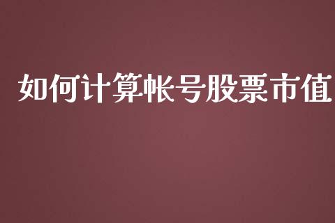 如何计算帐号股票市值_https://wap.sdxiaoxijinshu.com_理财_第1张