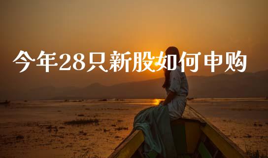 今年28只新股如何申购_https://wap.sdxiaoxijinshu.com_金融_第1张