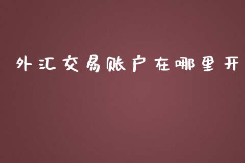 外汇交易账户在哪里开_https://wap.sdxiaoxijinshu.com_财经_第1张