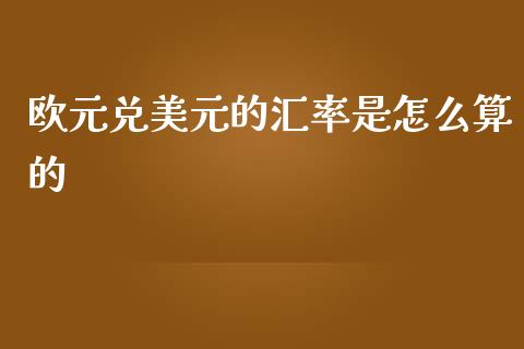 欧元兑美元的汇率是怎么算的_https://wap.sdxiaoxijinshu.com_财经_第1张