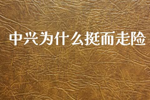 中兴为什么挺而走险_https://wap.sdxiaoxijinshu.com_财经_第1张