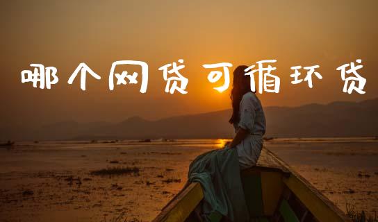 哪个网贷可循环贷_https://wap.sdxiaoxijinshu.com_理财_第1张
