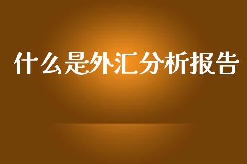 什么是外汇分析报告_https://wap.sdxiaoxijinshu.com_财经_第1张