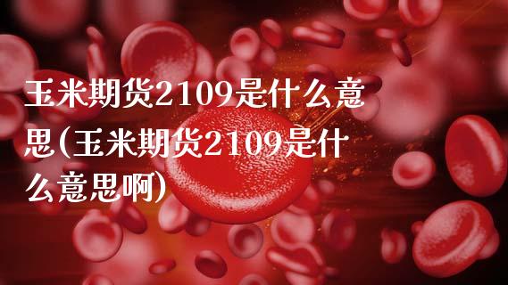 玉米期货2109是什么意思(玉米期货2109是什么意思啊)_https://wap.sdxiaoxijinshu.com_财经_第1张