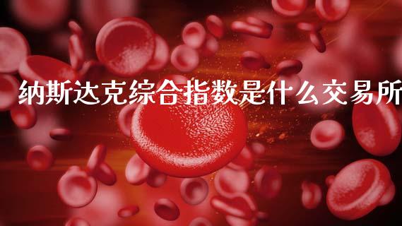 纳斯达克综合指数是什么交易所_https://wap.sdxiaoxijinshu.com_理财_第1张