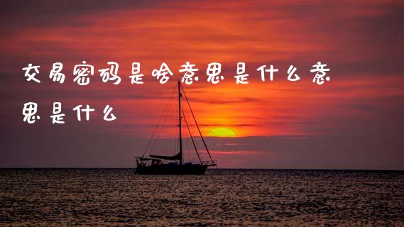 交易密码是啥意思是什么意思是什么_https://wap.sdxiaoxijinshu.com_理财_第1张