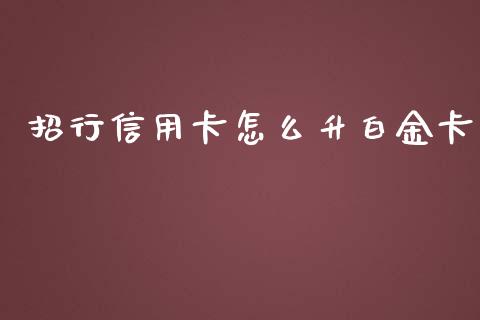招行信用卡怎么升白金卡_https://wap.sdxiaoxijinshu.com_期货_第1张