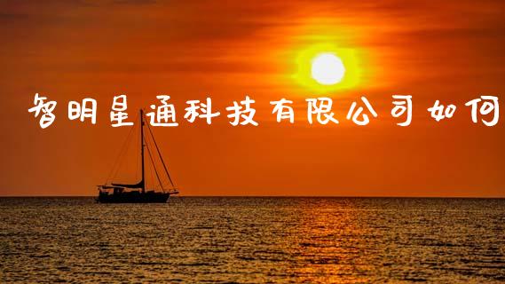 智明星通科技有限公司如何_https://wap.sdxiaoxijinshu.com_理财_第1张