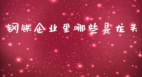 钢铁企业里哪些是龙头_https://wap.sdxiaoxijinshu.com_期货_第1张