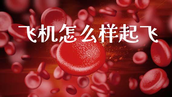 飞机怎么样起飞_https://wap.sdxiaoxijinshu.com_期货_第1张