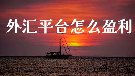 外汇平台怎么盈利_https://wap.sdxiaoxijinshu.com_财经_第1张