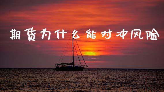 期货为什么能对冲风险_https://wap.sdxiaoxijinshu.com_期货_第1张