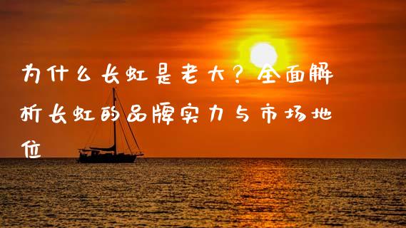 为什么长虹是老大？全面解析长虹的品牌实力与市场地位_https://wap.sdxiaoxijinshu.com_理财_第1张