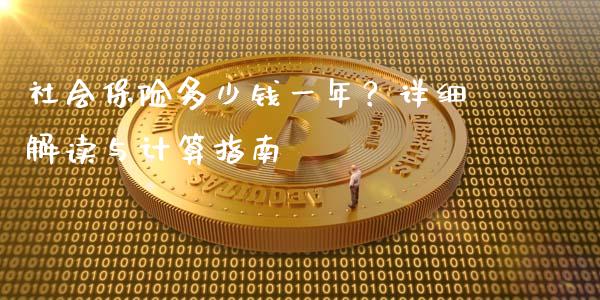 社会保险多少钱一年？详细解读与计算指南_https://wap.sdxiaoxijinshu.com_理财_第1张