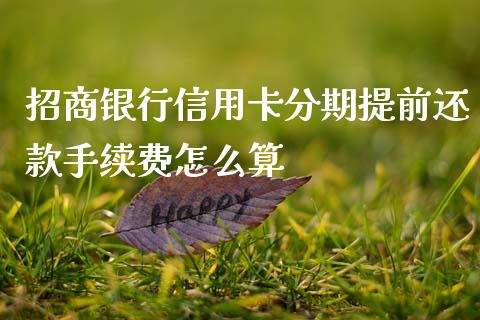 招商银行信用卡分期提前还款手续费怎么算_https://wap.sdxiaoxijinshu.com_金融_第1张
