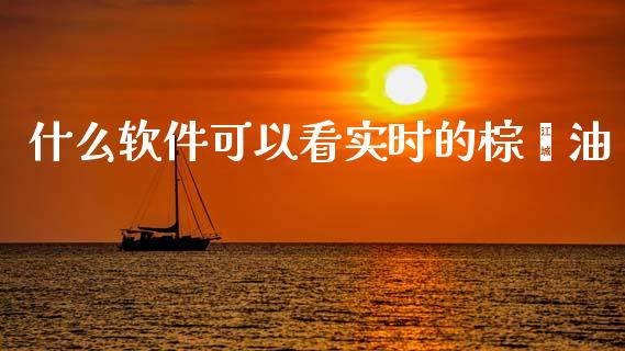 什么软件可以看实时的棕榈油_https://wap.sdxiaoxijinshu.com_期货_第1张