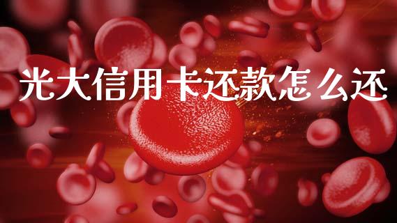 光大信用卡还款怎么还_https://wap.sdxiaoxijinshu.com_期货_第1张