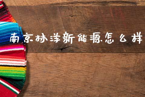 南京林洋新能源怎么样_https://wap.sdxiaoxijinshu.com_金融_第1张