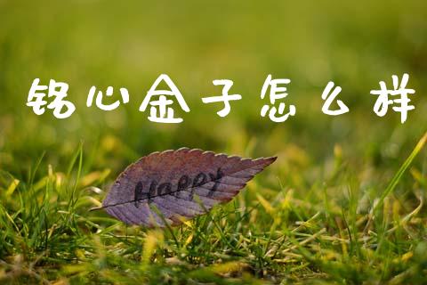 铭心金子怎么样_https://wap.sdxiaoxijinshu.com_财经_第1张