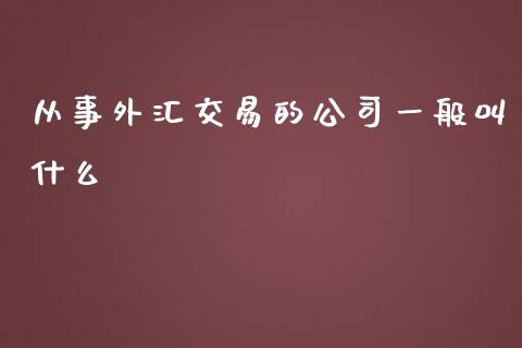 从事外汇交易的公司一般叫什么_https://wap.sdxiaoxijinshu.com_财经_第1张