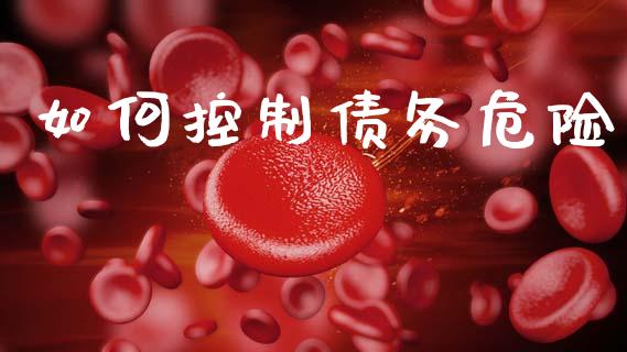如何控制债务危险_https://wap.sdxiaoxijinshu.com_财经_第1张